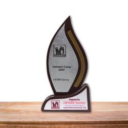 Appreciation Award From DESIRE Society Summer Camp 2017