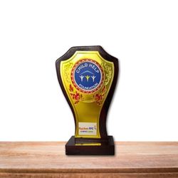 Appreciation Award From Raychem RPG