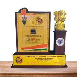 Appreciation Award From The Institute of Chartered Accountants of India