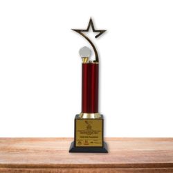 Asia NGO’s Excellence Awards for Social Consciousness - Education for Girl Child 2018