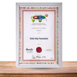 Certificate of Merit from World CSR Day