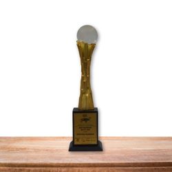 World CSR Awards Best Healthcare NGO of the Year 2020